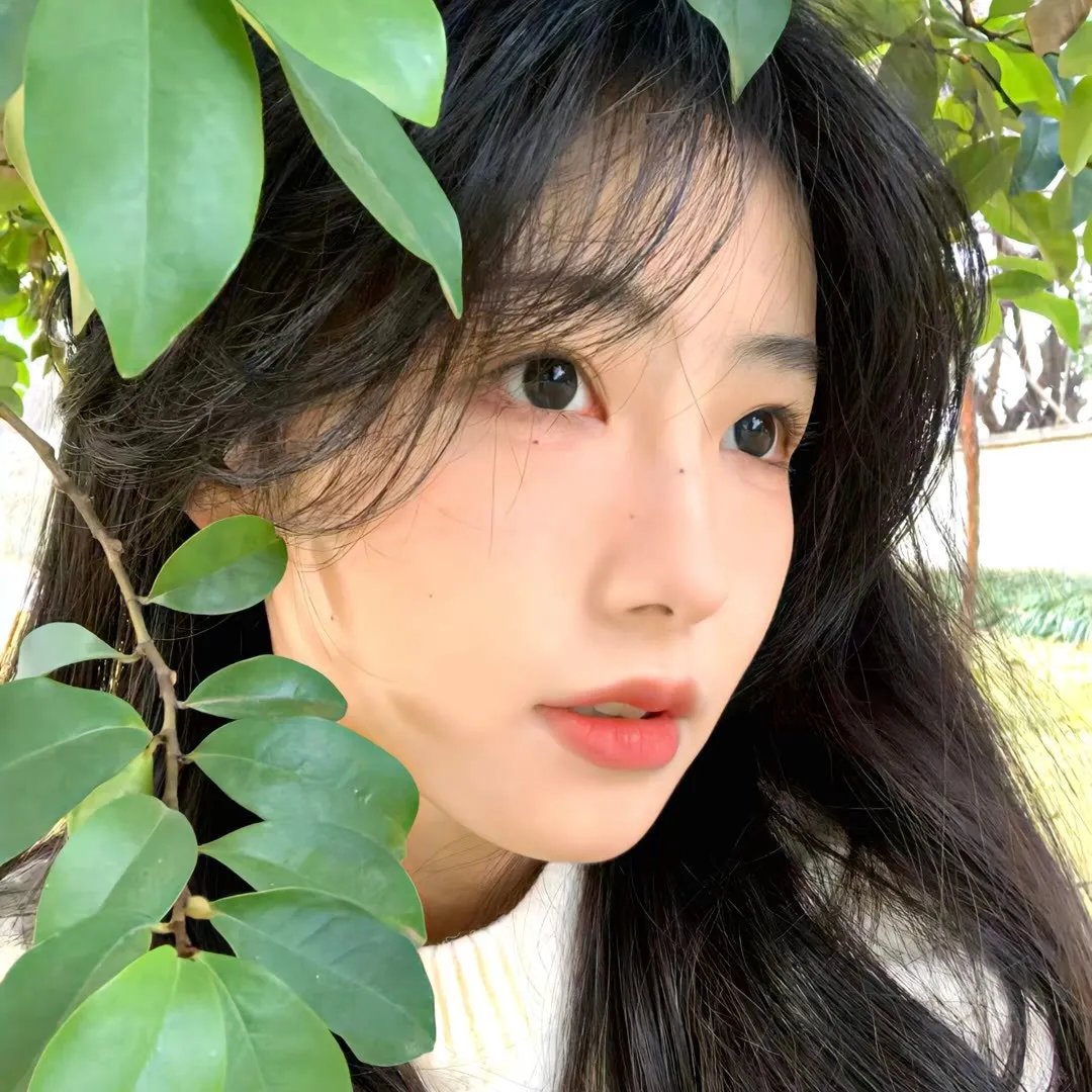 卿何薄命之羔羊少女